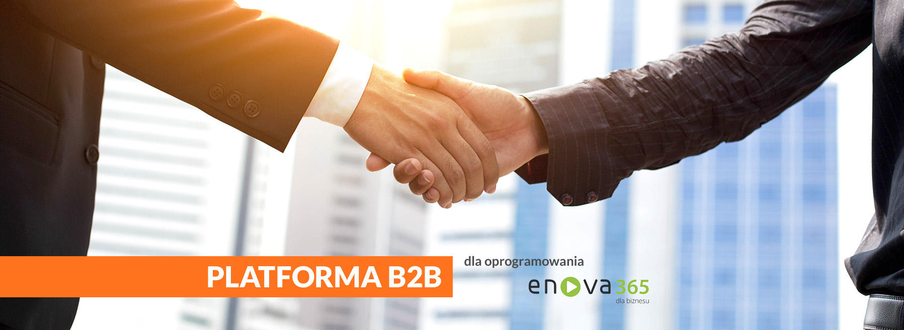 Platforma B2B